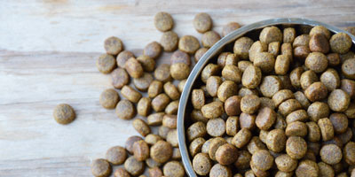 dog food supplements - Ribus